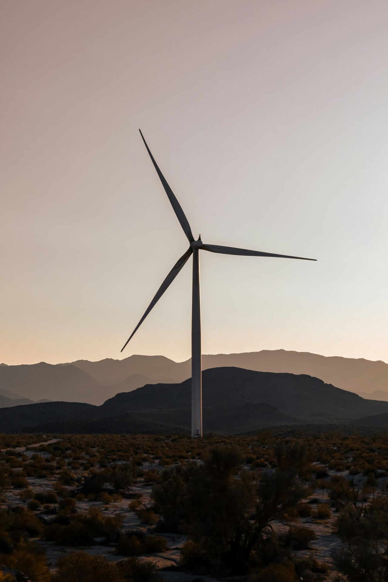 Environmental Image
